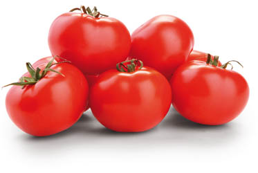 Rajčata keříková 48+ I. čerstvá 5 kg