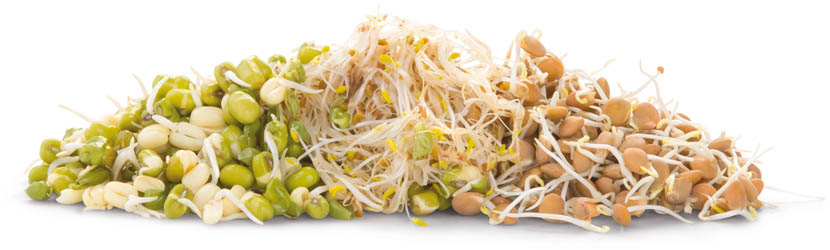 METRO Chef Klíčky směs trikol CZ 180 g