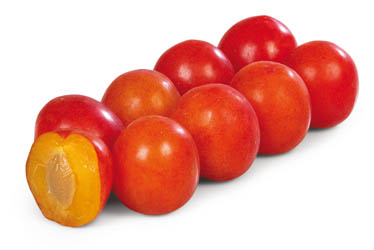 Blumy žluté Ready to eat 4 ks vanička