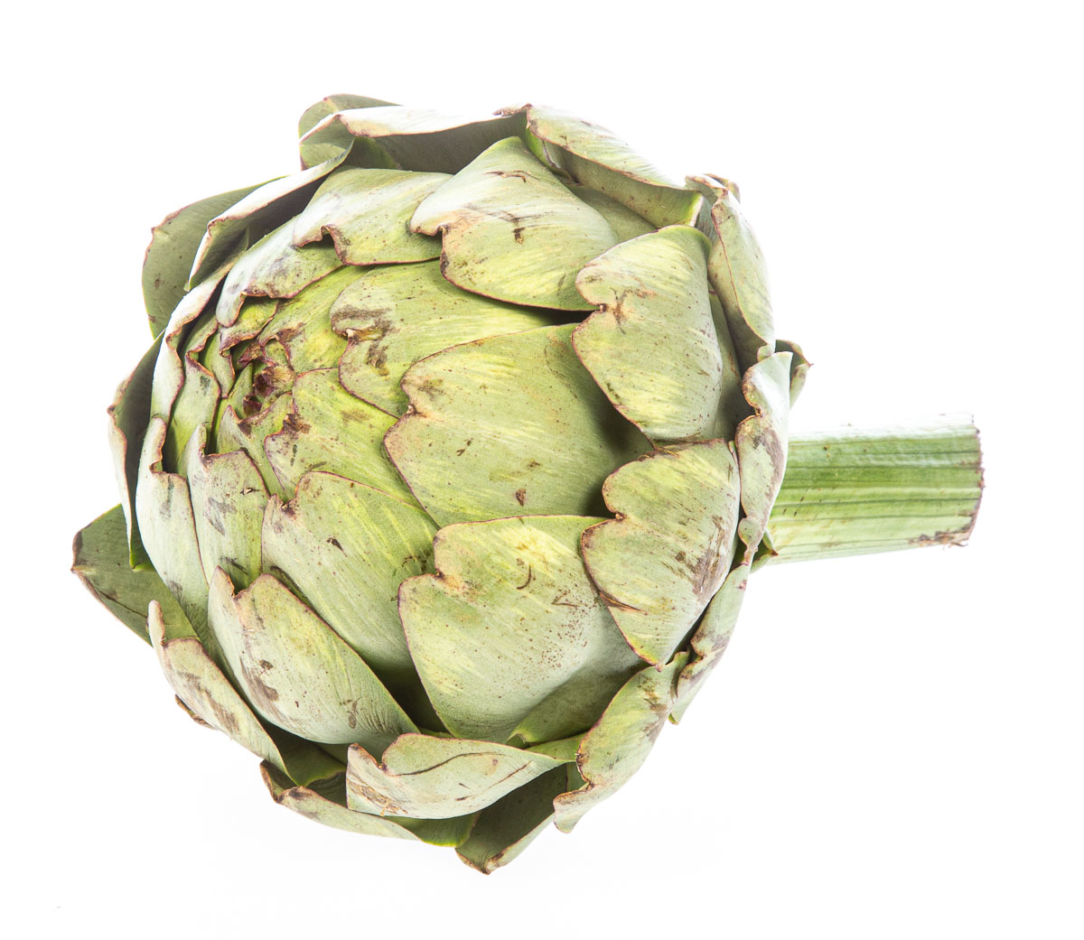 Artyčok 350 g+ čerstvý 1 ks