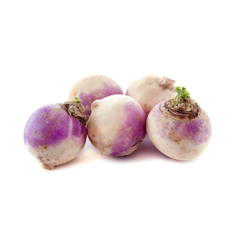 Vodnice fialová čerstvá 5 kg