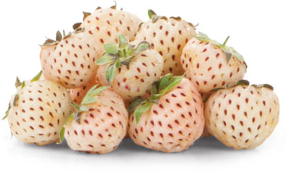 Jahody bílé čerstvé 1 kg