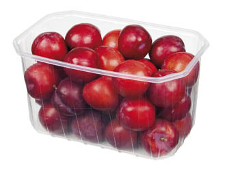 Blumy červené A/B čerstvé 500 g vanička