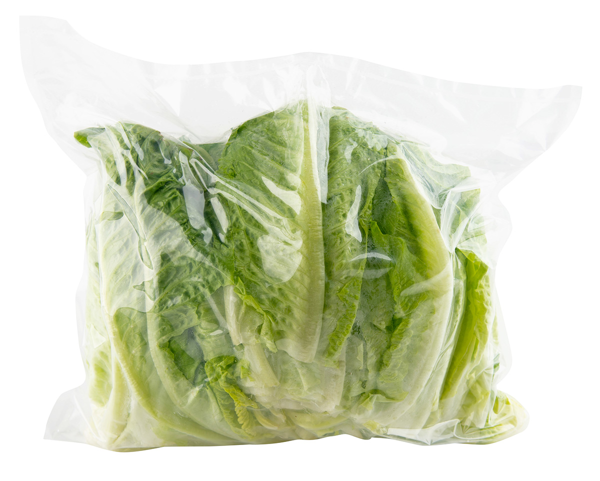 Salát Římský trhaný praný 1 kg