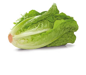 Salát římský 250 g+ CZ čerstvý 1 ks