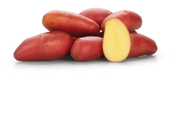 Brambory červené rané prané čerstvé 1 kg