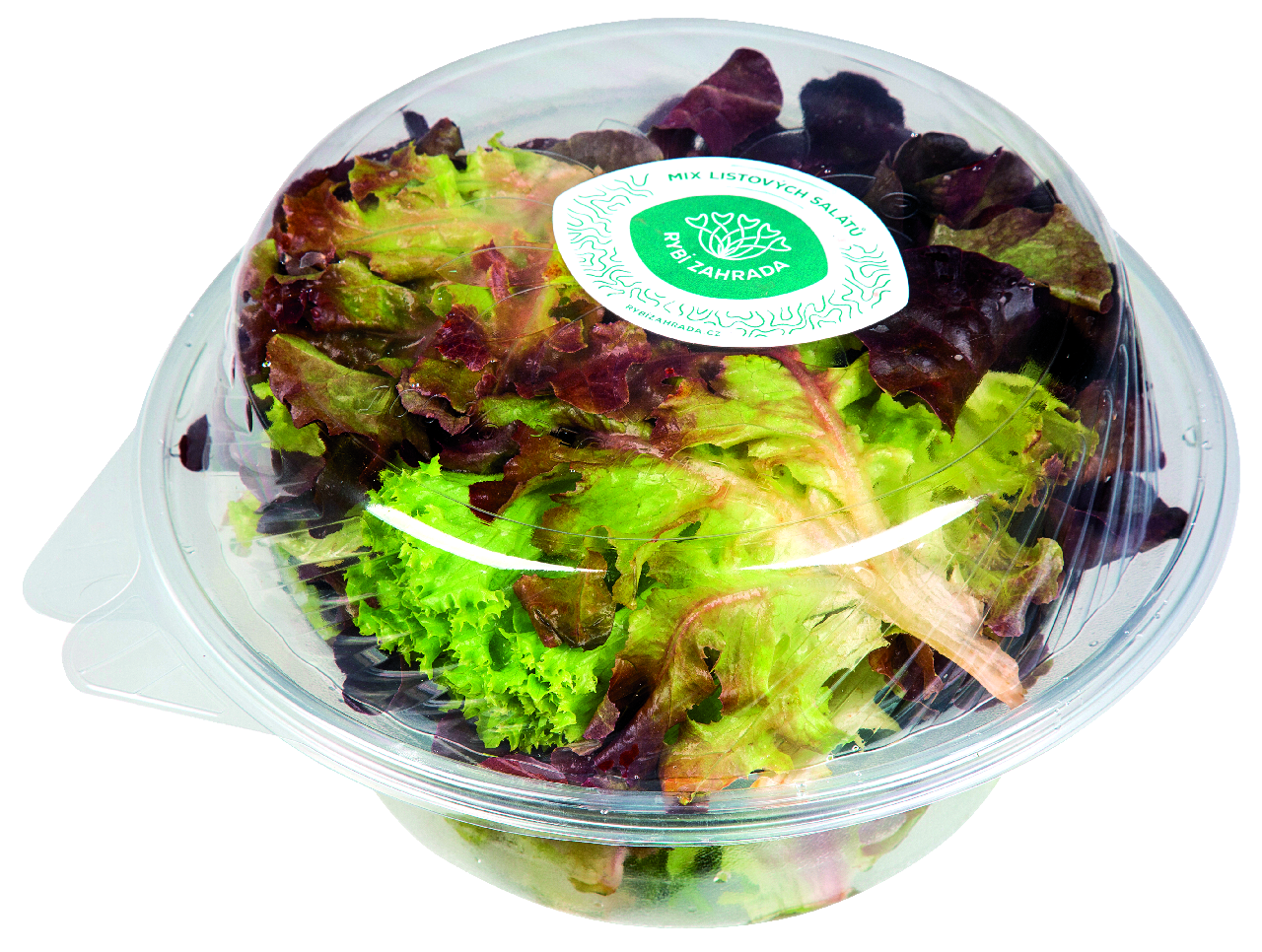 Salát trhaný listy mix (dubový, biondo, rosso) CZ čerstvý 150 g