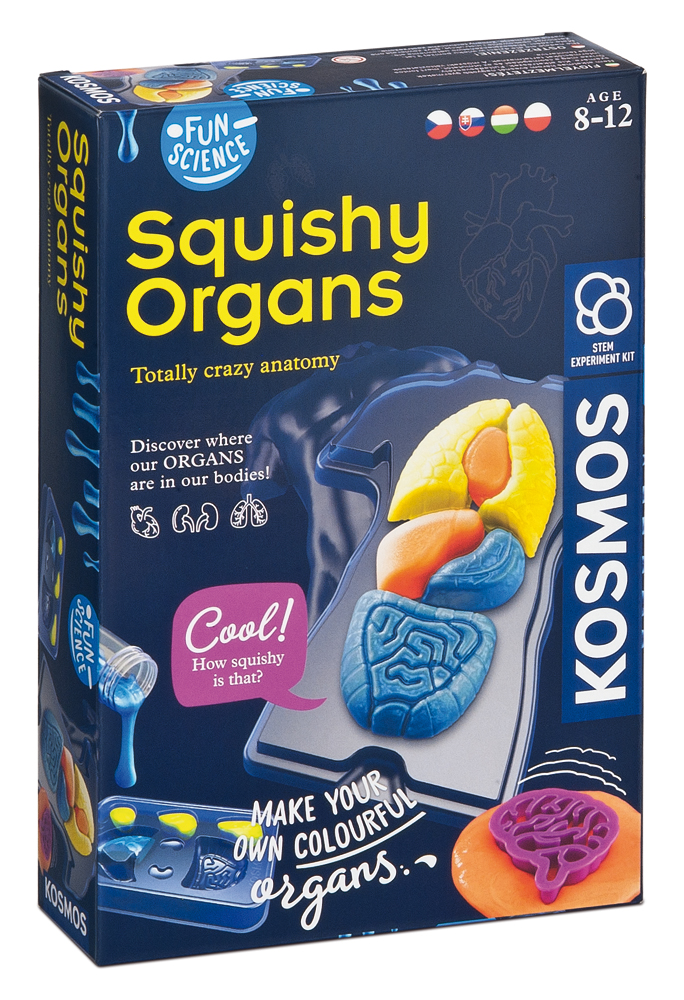 Fun Science lidské orgány 1 ks