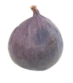 Fík čerstvý 1 ks