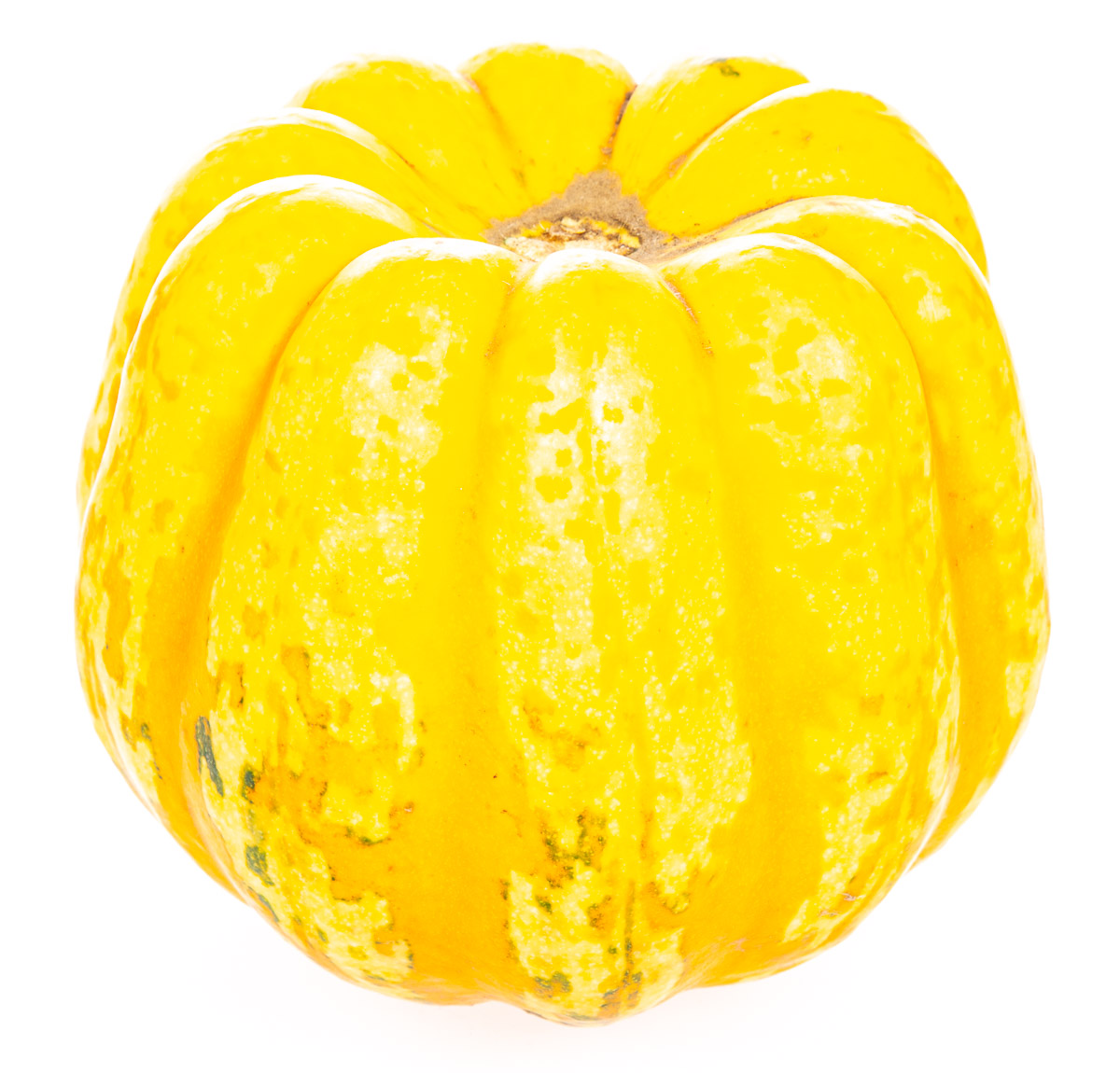 Dýně Sweet Dumpling CZ čerstvá 1 ks