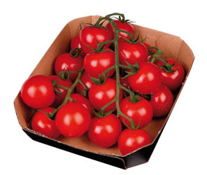 Rajčata Koktejlové I. čerstvá 500 g vanička