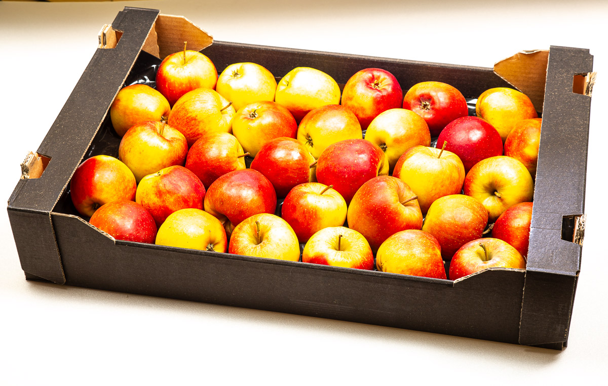 Jablka Šampion 75+ čerstvé 6 kg karton