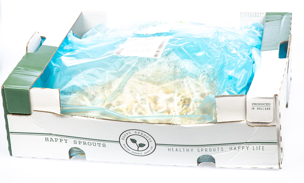 Výhonky sóji (Munchbean) chlaz. 1 kg