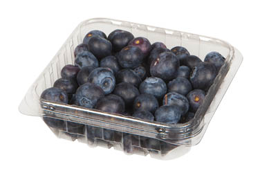 Borůvky kanadské čerstvé 300 g vanička