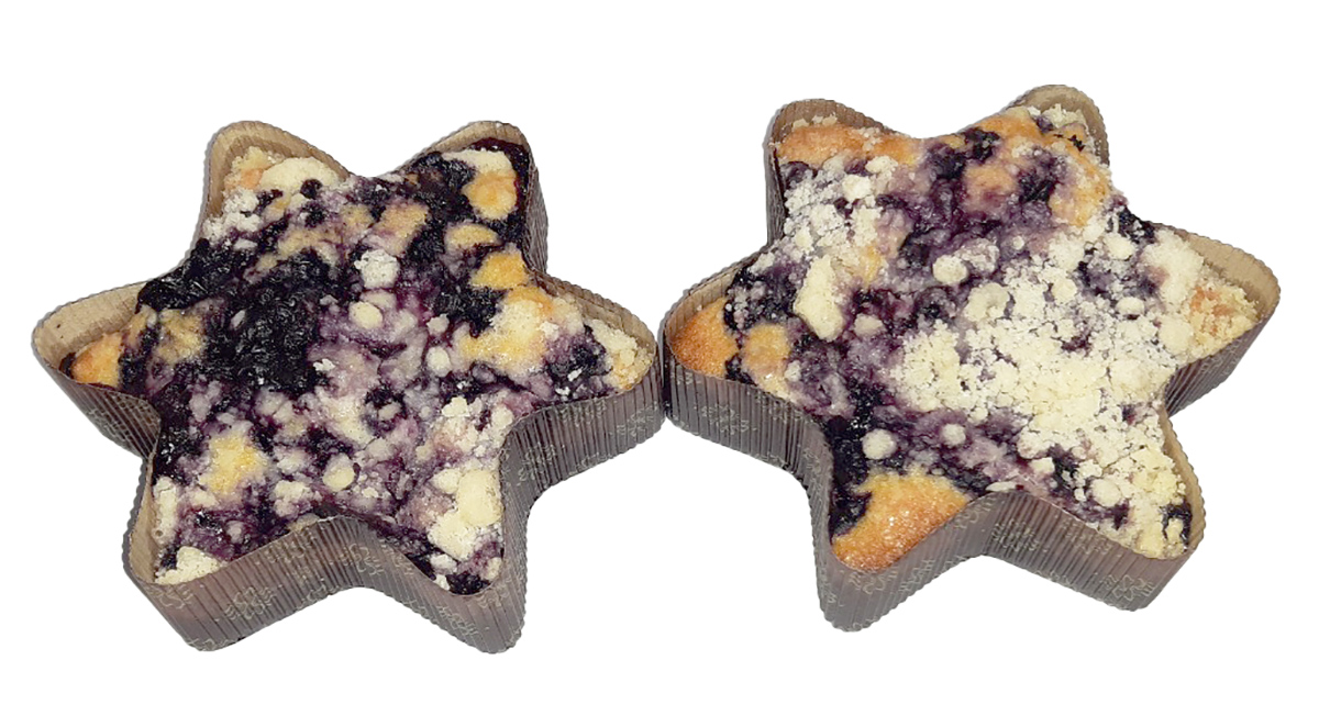 Vánoční hvězda s borůvkami nebalená 120 g