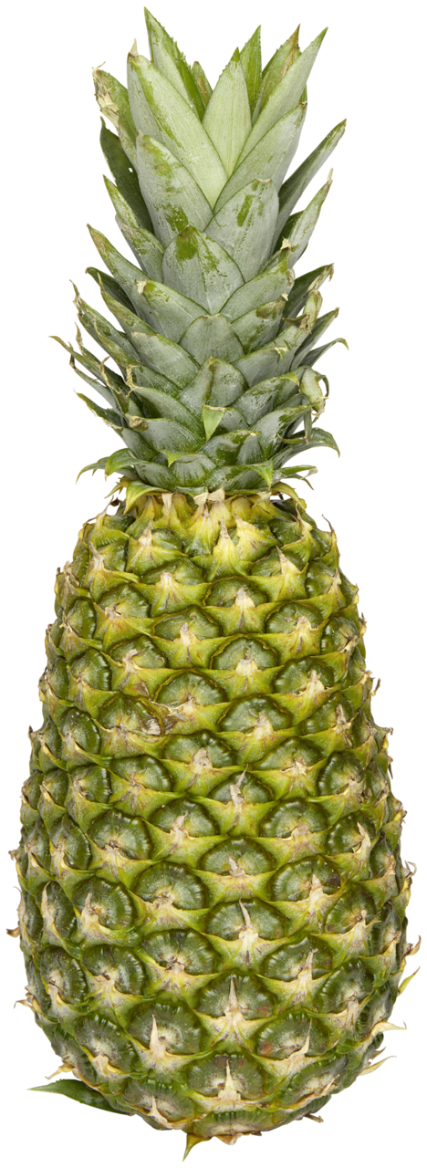 Ananas Sweet Gold 1600+ g čerstvý 1 ks