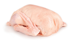 Husa s droby mraž. 4,8 kg