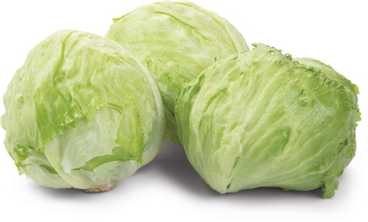 Salát ledový 350 + I. CZ čerstvý 1 ks