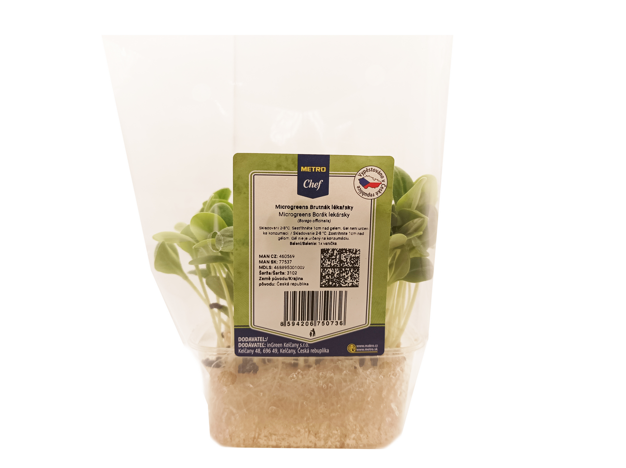 Microgreens - Bruntak lékařský 1 ks