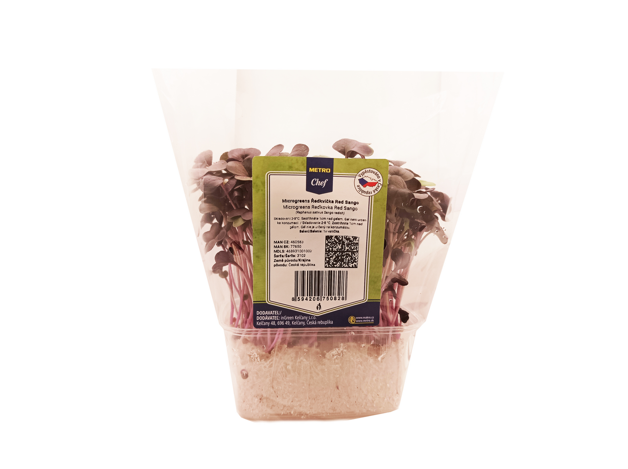 Microgreens Ředkvička Red Sang 1 ks