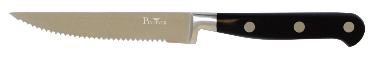 PINTINOX Nůž na steak zoubky  23 cm ABS / nerez. ocel 1 ks