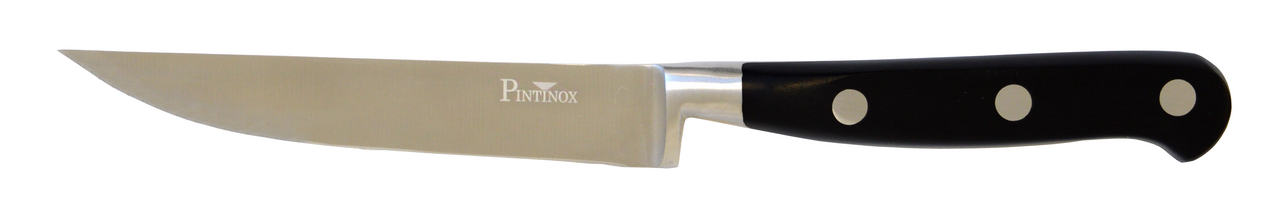 PINTINOX Nůž na steak hladký 12 cm ABS / nerez. ocel 1 ks