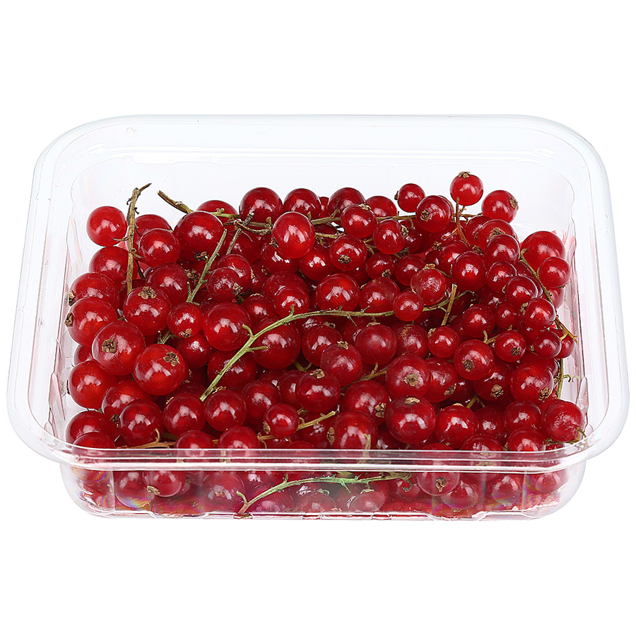 Rybíz červený čerstvý 125 g vanička