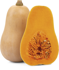 Dýně máslová 1000+ čerstvá váž. cca 1 kg