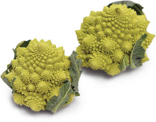 Květák Romanesco 1 ks
