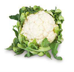 Květák bílý čerstvý 1 ks