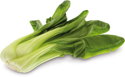 Salát Pack Choi 300+ g čerstvý 3 ks