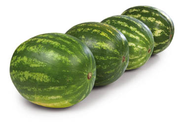 Meloun vodní semenný SK čerstvý váž. 1 ks