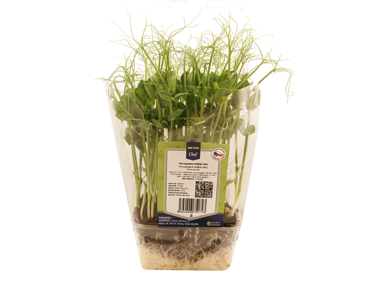 Microgreens - Hrášek živý 1 ks