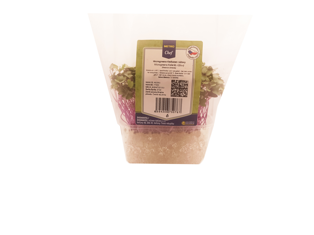 Microgreens - Kedluben růžový 1 ks