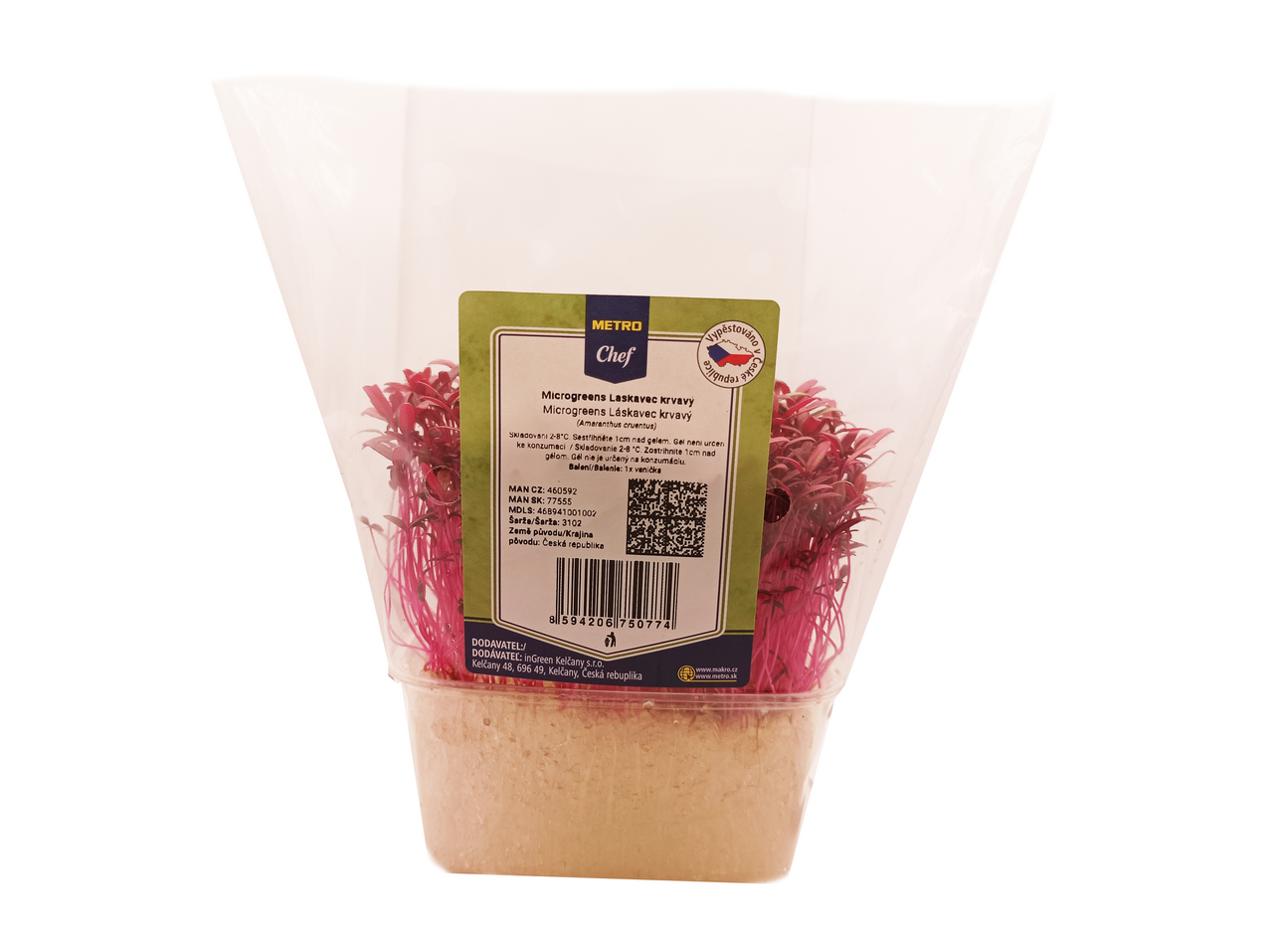 Microgreens - Laskavec krvavý 1 ks