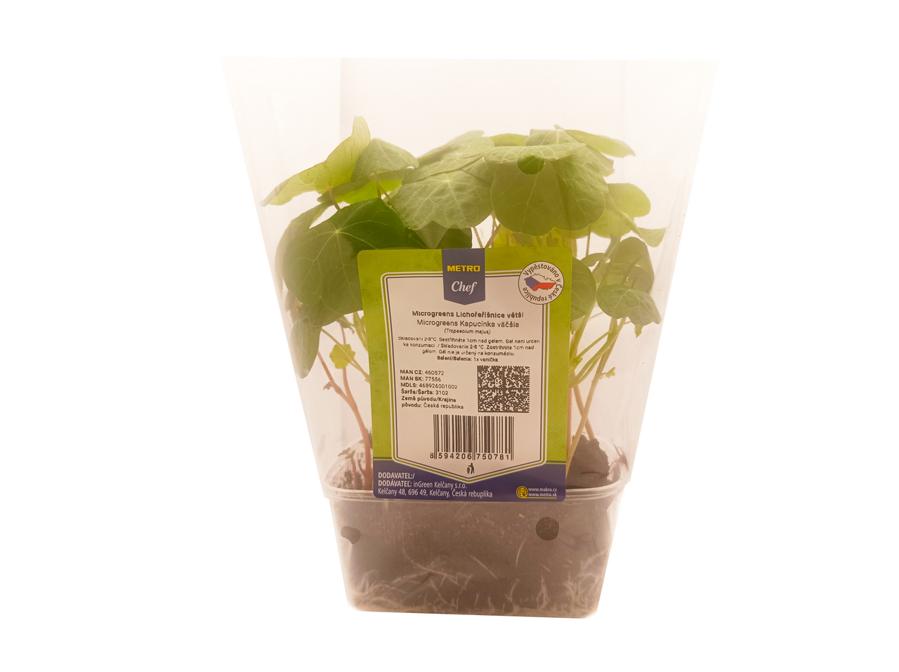 Microgreens - Lichořeřišnice velká 1 ks