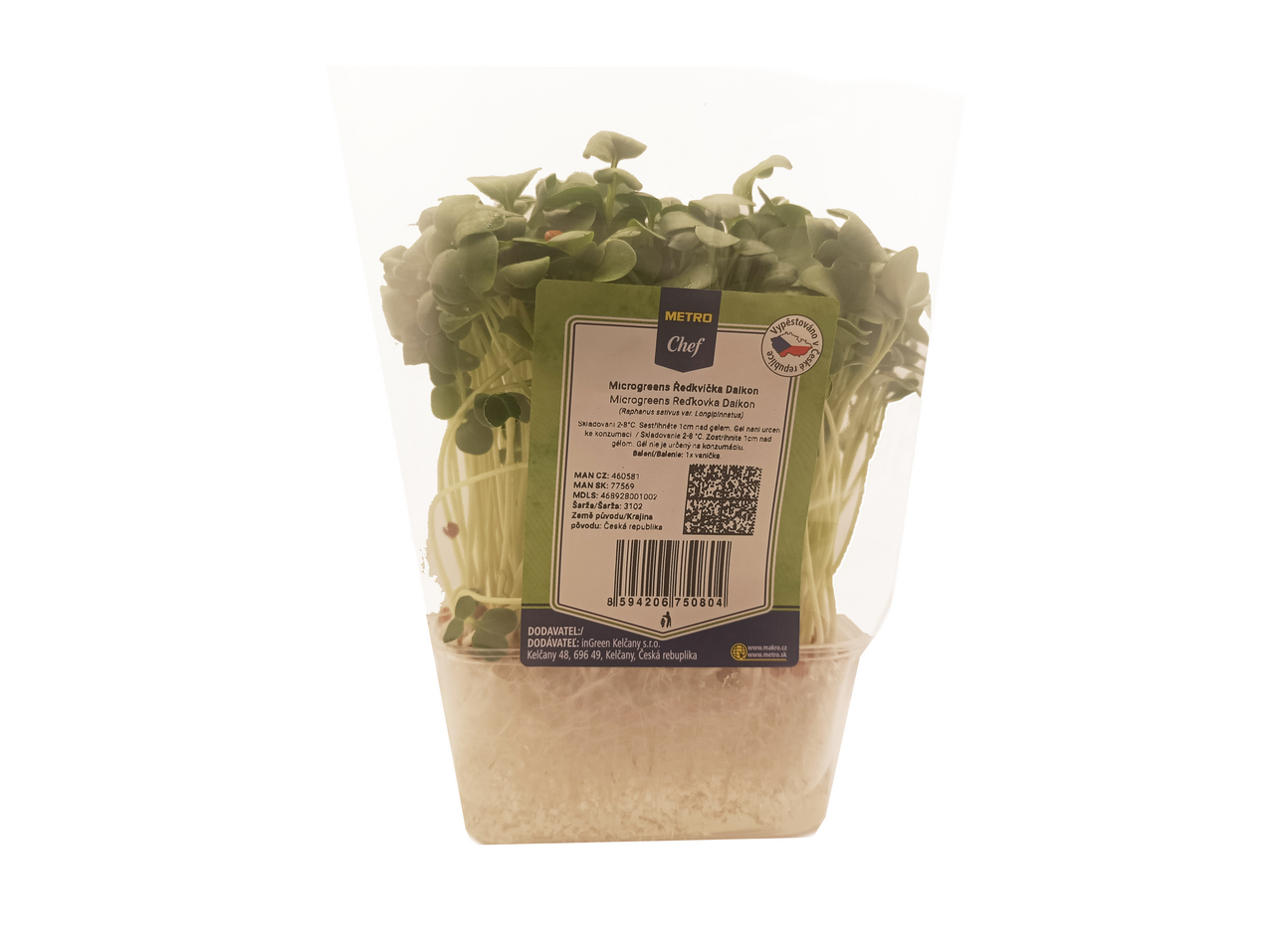 Microgreens - Ředkvička Daikon 1 ks