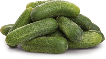 Okurky krátké čerstvé 10 kg plastová bedna