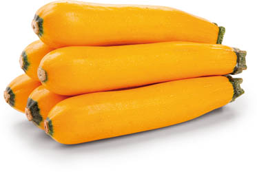 Cuketa žlutá dlouhá čerstvá váž. 2 ks