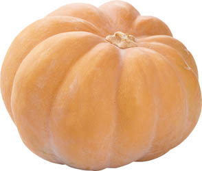 Dýně muškátová 600+ váž. 1 ks