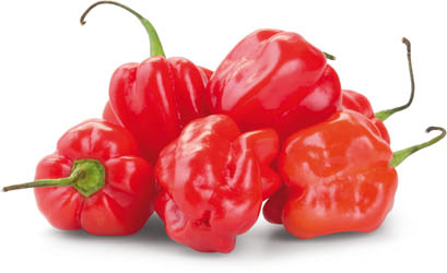 Feferonka Habanero červená čerstvá 50 g