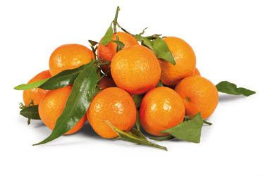 Mandarinky Clementine s lístky Bollo 3/4 I. čerstvé 2,3 kg