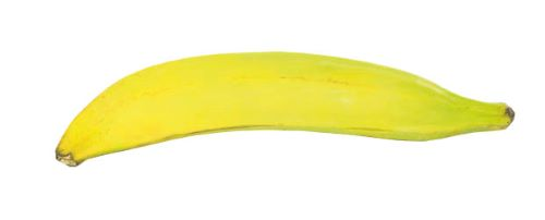 Banány na vaření Plantain čerstvé 2 ks tácek