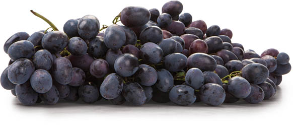Hrozny modré Palieri I. čerstvé 2 kg koš