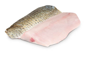 Amur bílý s kůží filet chlaz. cca 600 - 800 g