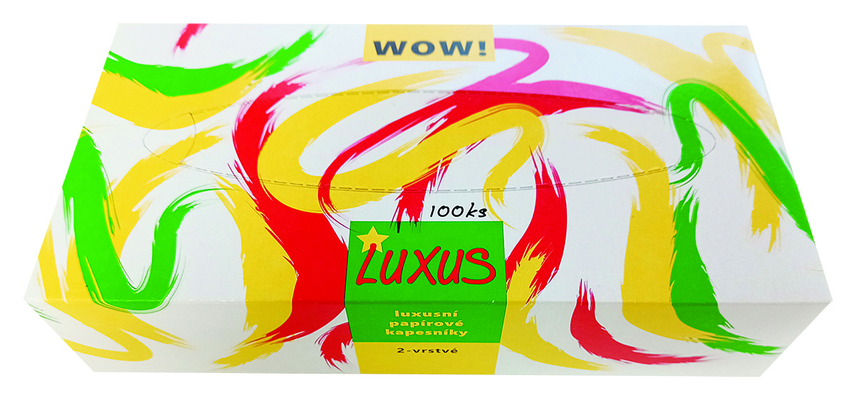 Kapesníky papírové 2vrstvé 5 x 100 ks box