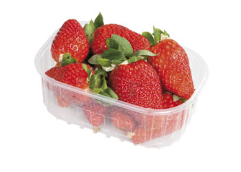 Jahody I. čerstvé 250 g vanička