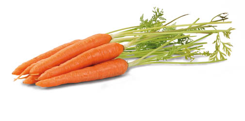 Mrkev baby chlaz. 200 g kornout