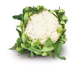 Květák bílý čerstvý 1 ks