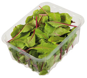 Fino Listy Řepy červené neprané 125 g